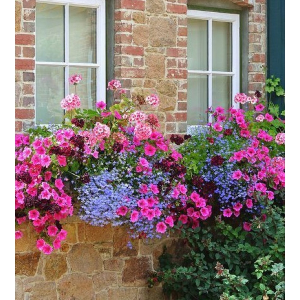 Meet your Posher, Erina